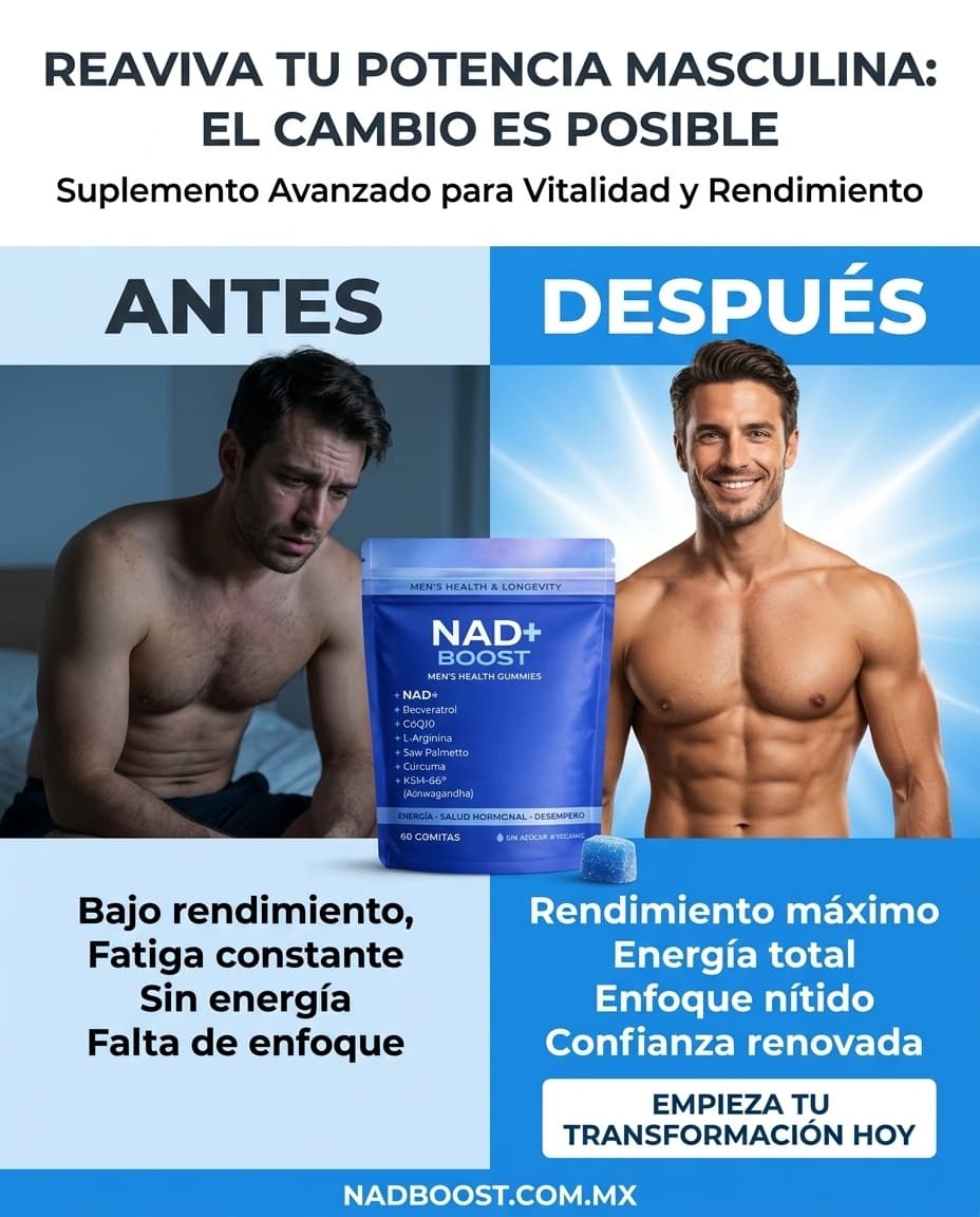 Creativo