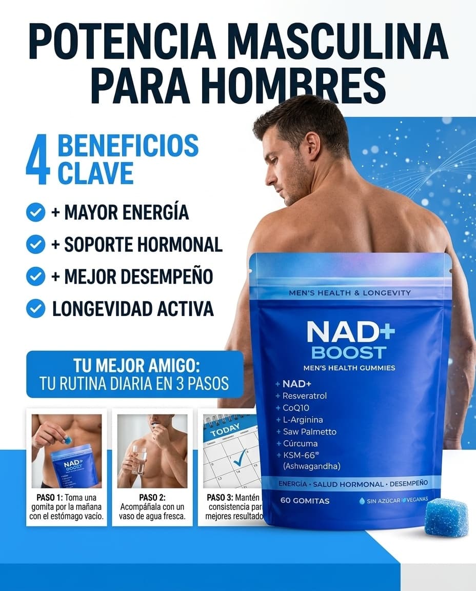 Creativo
